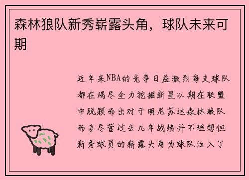森林狼队新秀崭露头角，球队未来可期