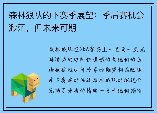 森林狼队的下赛季展望：季后赛机会渺茫，但未来可期